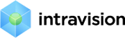 IntraVision - разработка программного обеспечения